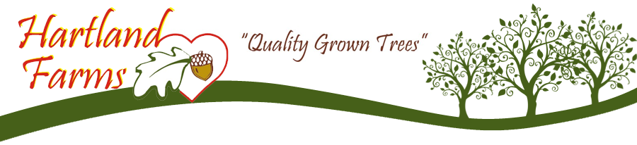 Hartland Farms - Quality Grown Trees